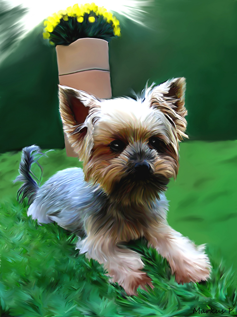 yorkshire terrier Smudge Painting