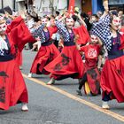 Yosakoi Dance Festival -3