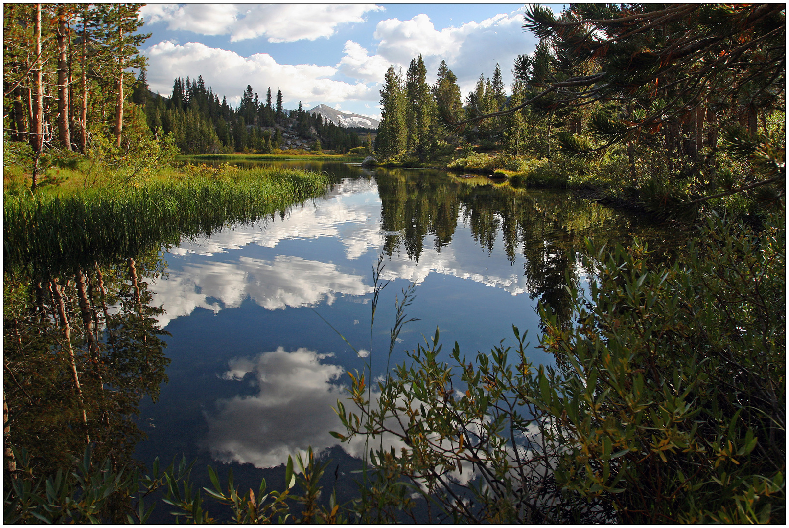 Yosemite 3 x (Tioga Lake)