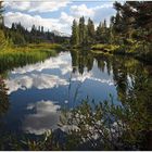 Yosemite 3 x (Tioga Lake)