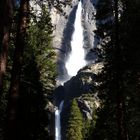 Yosemite 5