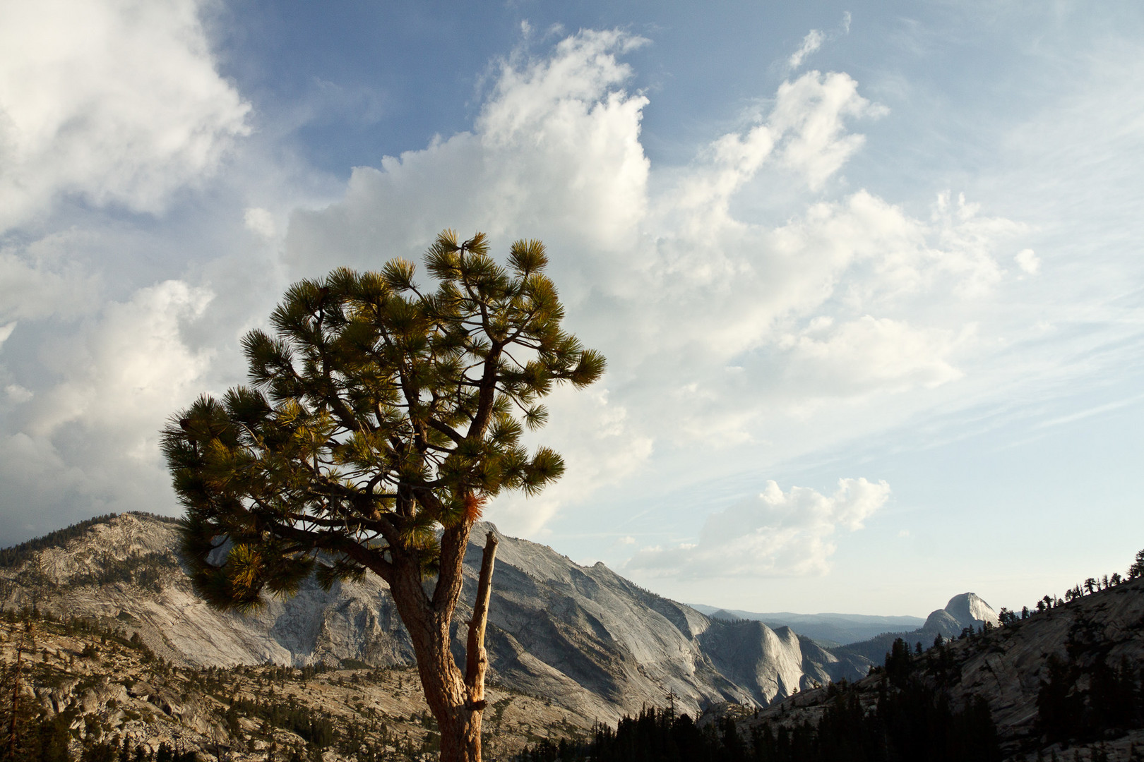 Yosemite