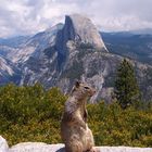 Yosemite - a new Star - (USA - Kalifornien)