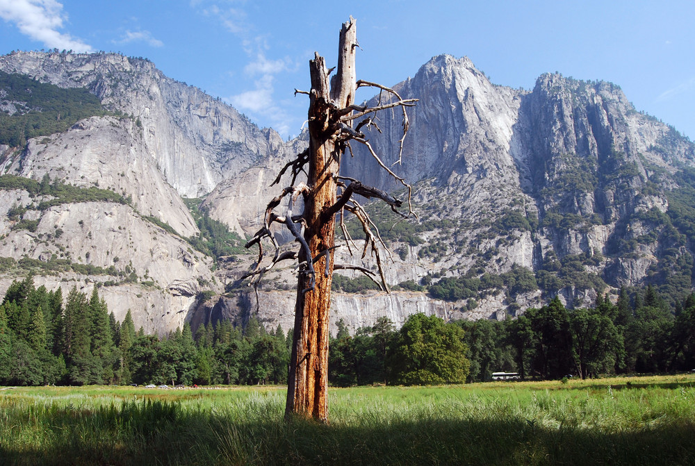 Yosemite CA