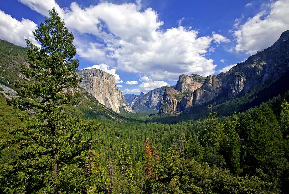 Yosemite - California