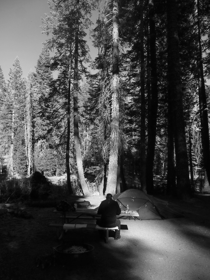 Yosemite Campground