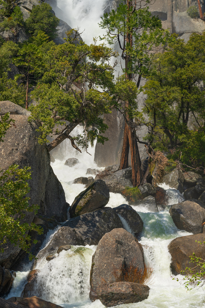 Yosemite-Cascade Creek