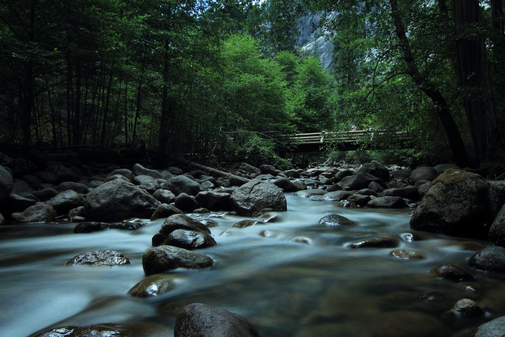 Yosemite Creek by Isabella Glockzin 