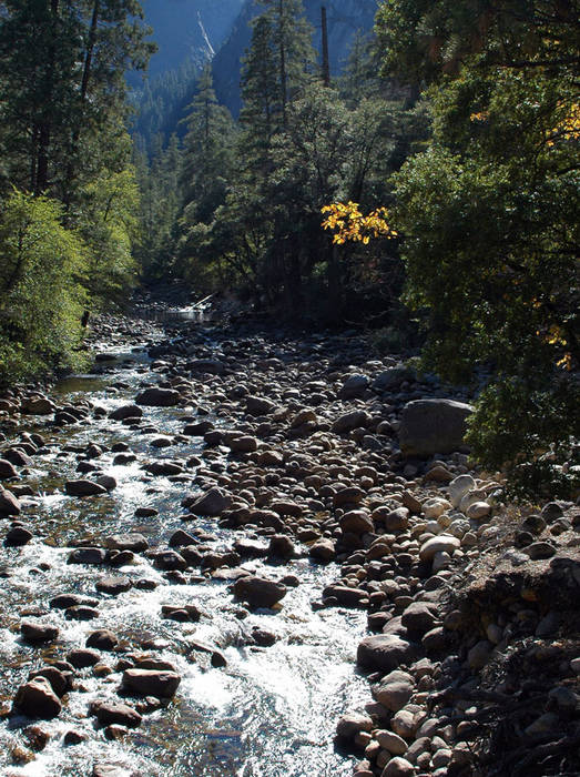 Yosemite Fall