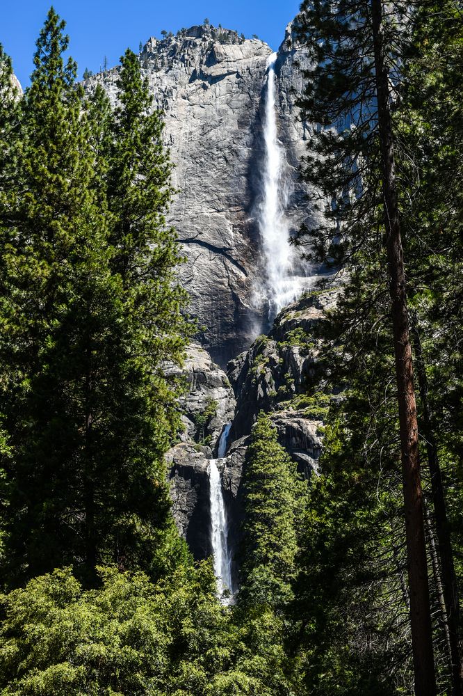 Yosemite Falls                                         DSC_4899-2