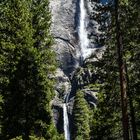 Yosemite Falls                                         DSC_4899-2