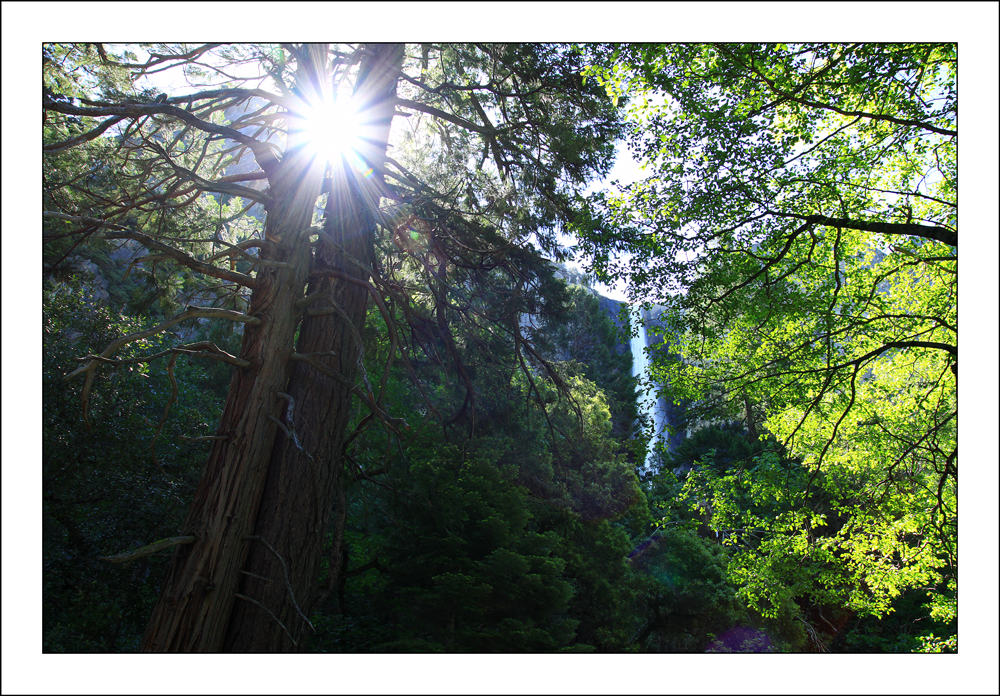 Yosemite Falls