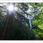 Yosemite Falls