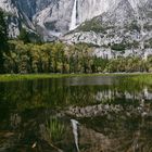 Yosemite Falls Reflektion