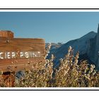 Yosemite - Glacier Point