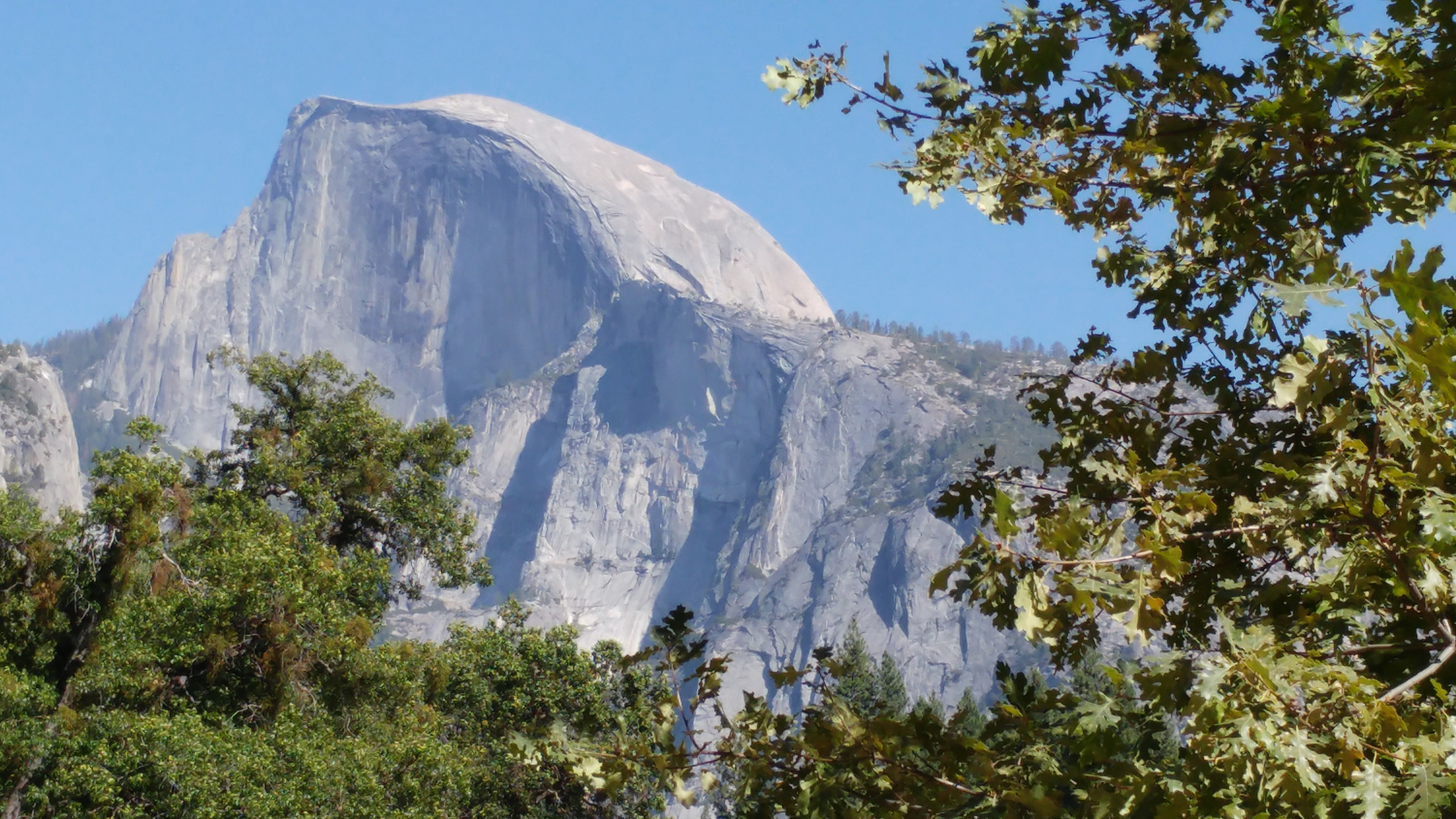 Yosemite Half domr