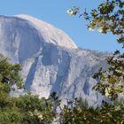 Yosemite Half domr
