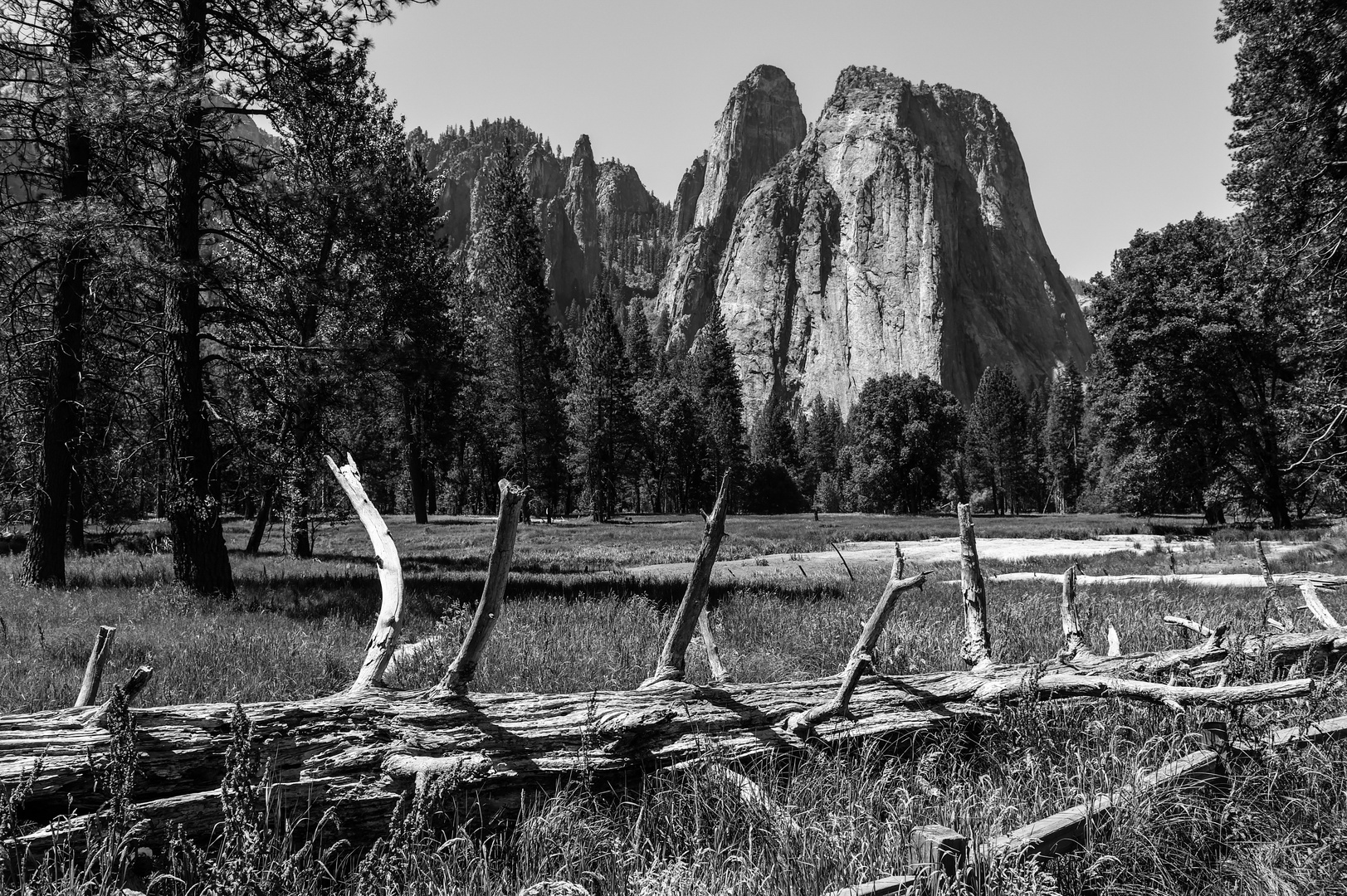 Yosemite,  Im Tal                                      DSC_4905-2