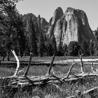 Yosemite,  Im Tal                                      DSC_4905-2