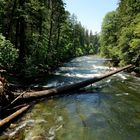 Yosemite: Klare Wasser