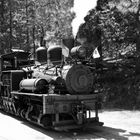 Yosemite Mountain Sugar Pine Railroad