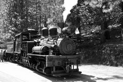 Yosemite Mountain Sugar Pine Railroad