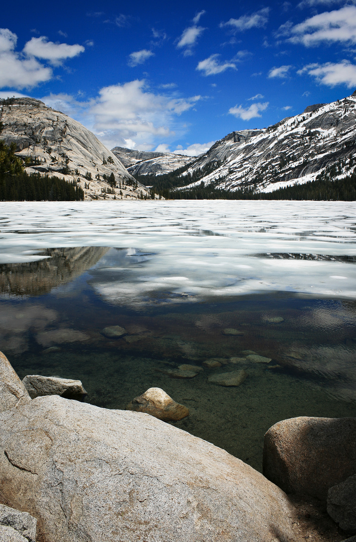 Yosemite National Park