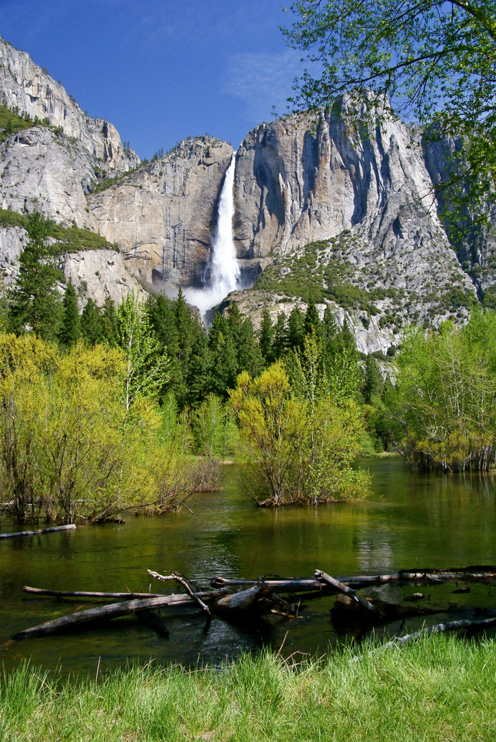 Yosemite National Park