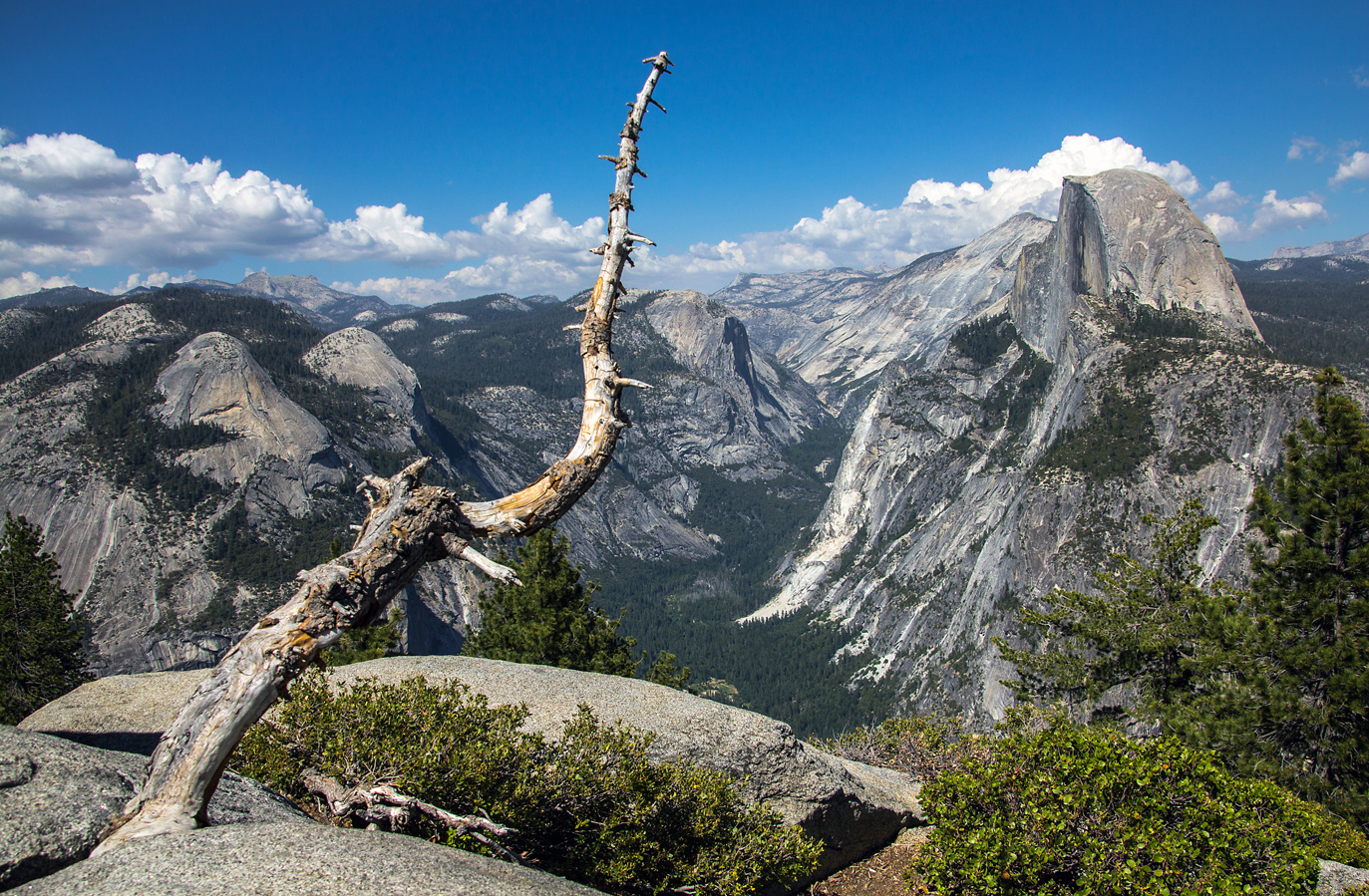 Yosemite National Park