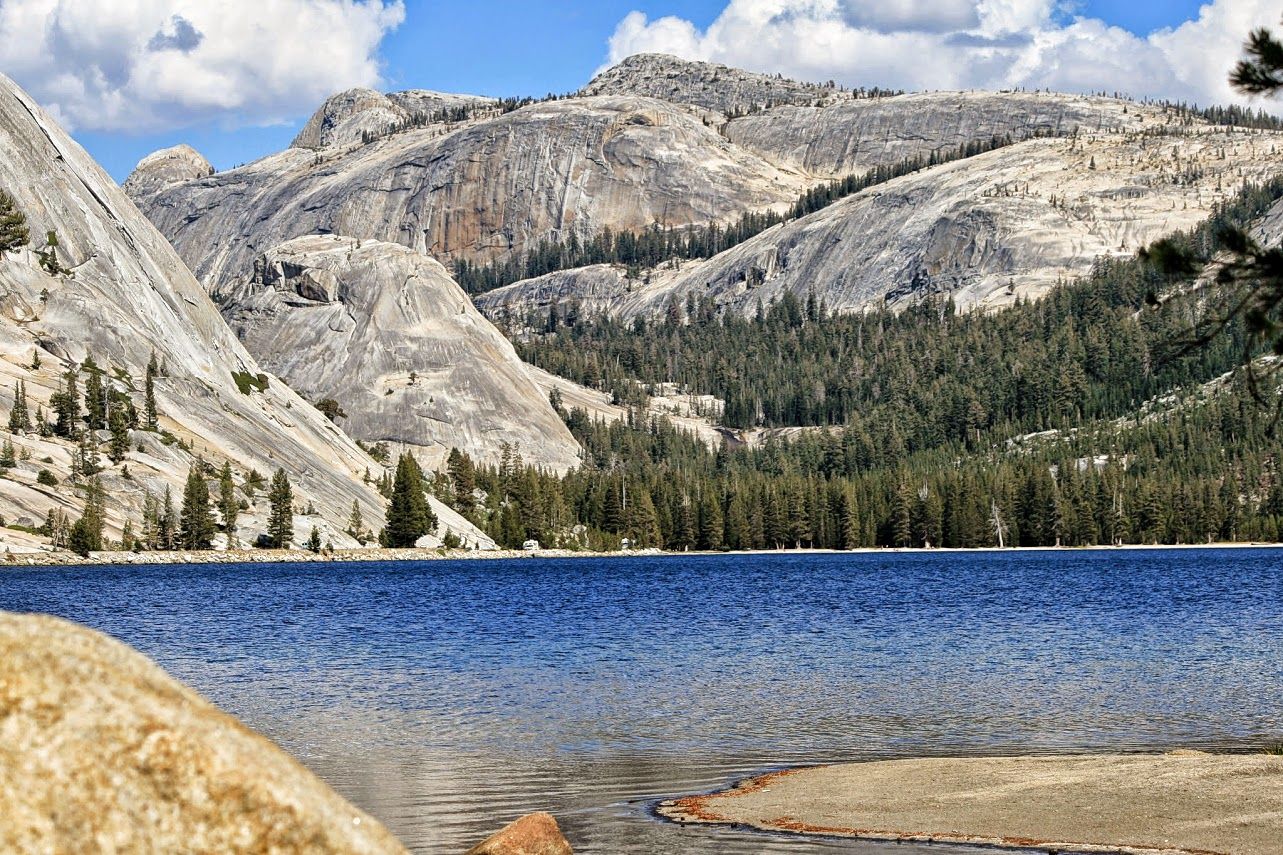 Yosemite National Park