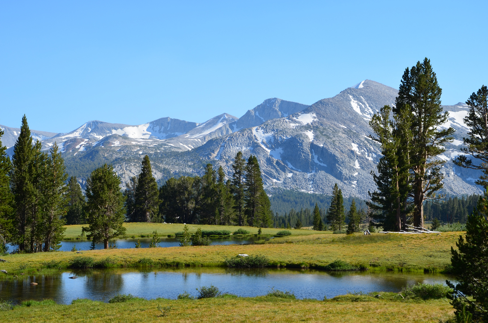 Yosemite National Park