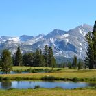 Yosemite National Park