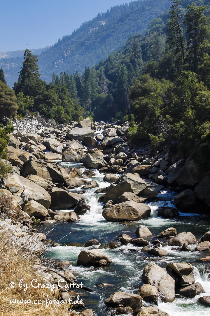 Yosemite National Park