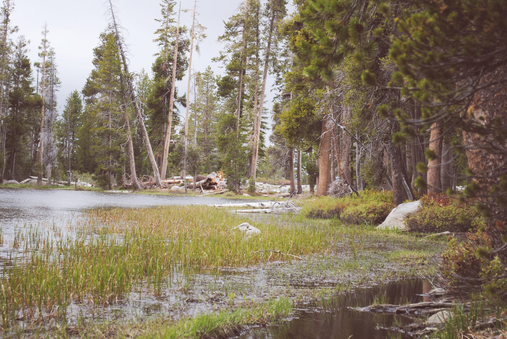 Yosemite National Park