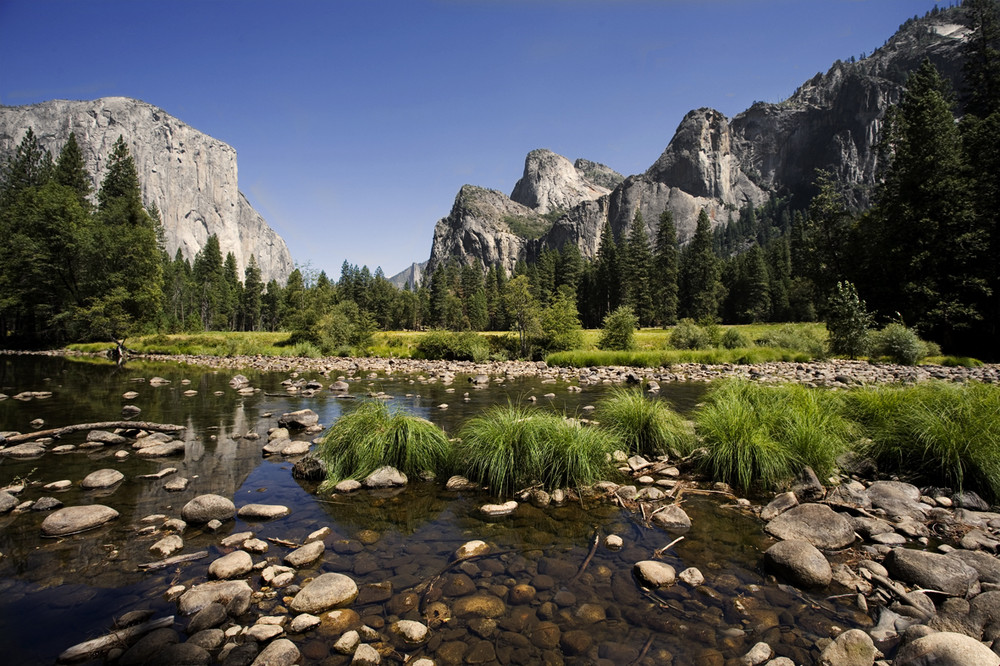 Yosemite National Park