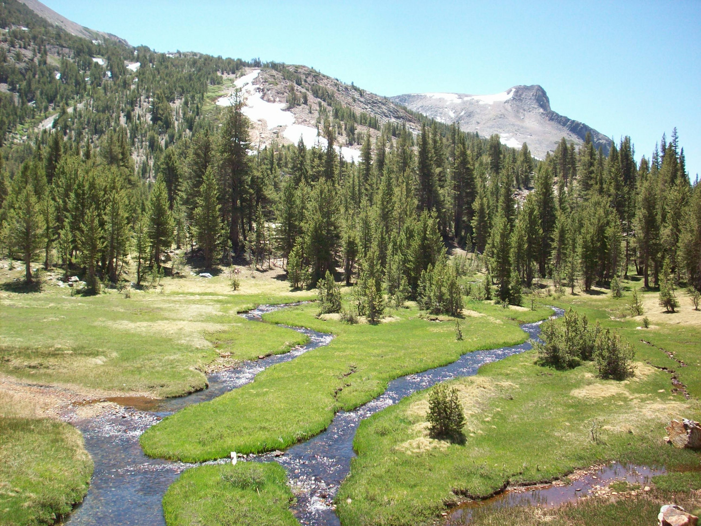 Yosemite National Park