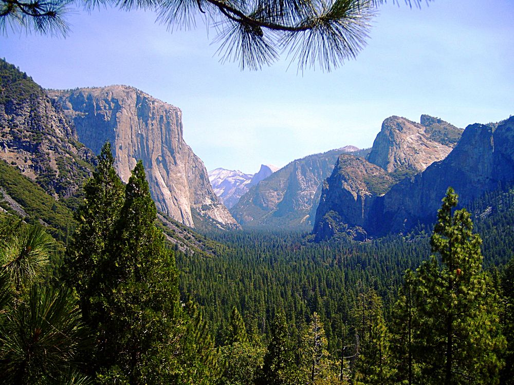 Yosemite National Park