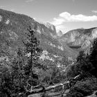 Yosemite National Park