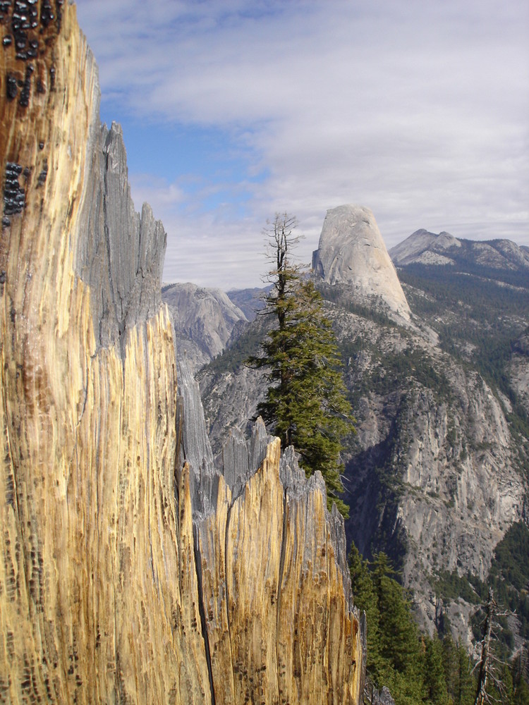 Yosemite National Park