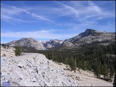 Yosemite National Park