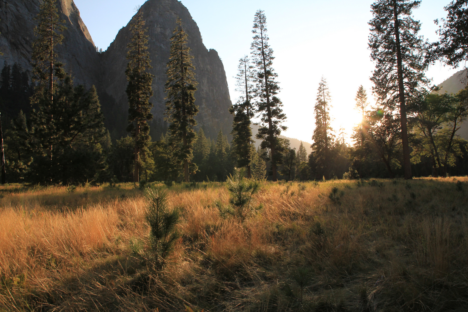 Yosemite National Park