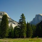 Yosemite National Park