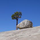 Yosemite National Park