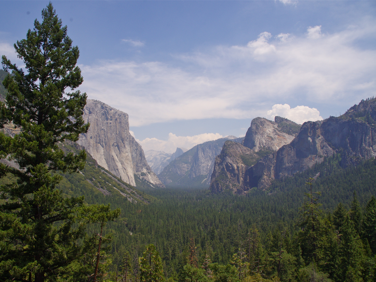 Yosemite National Park