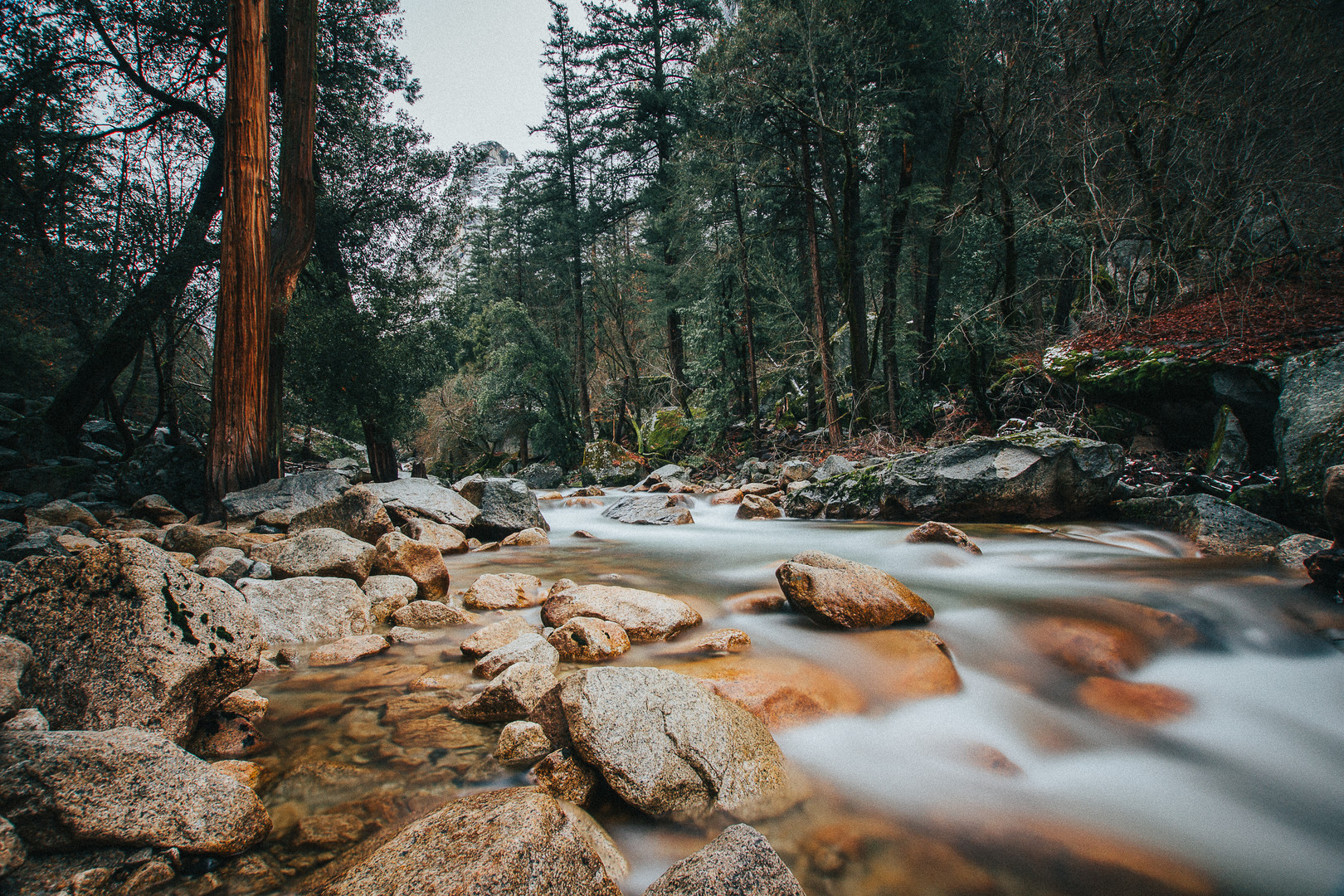 Yosemite National Park