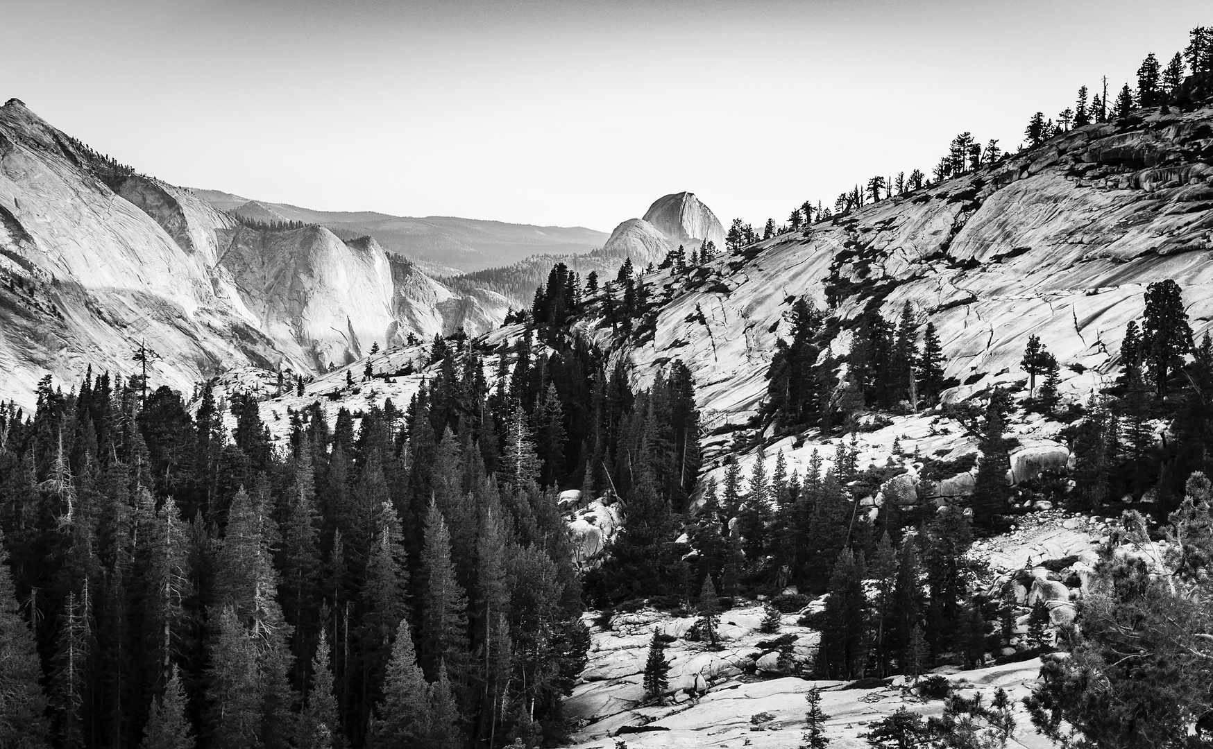 Yosemite National Park (CA)