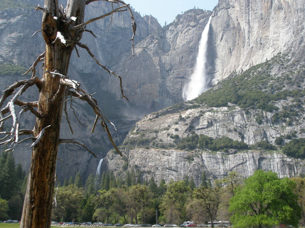 Yosemite National Park (California)