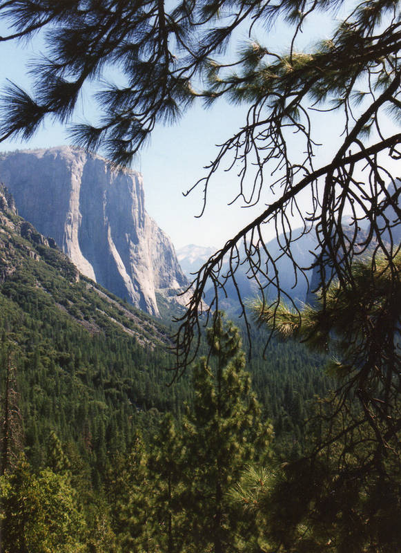 Yosemite National Park