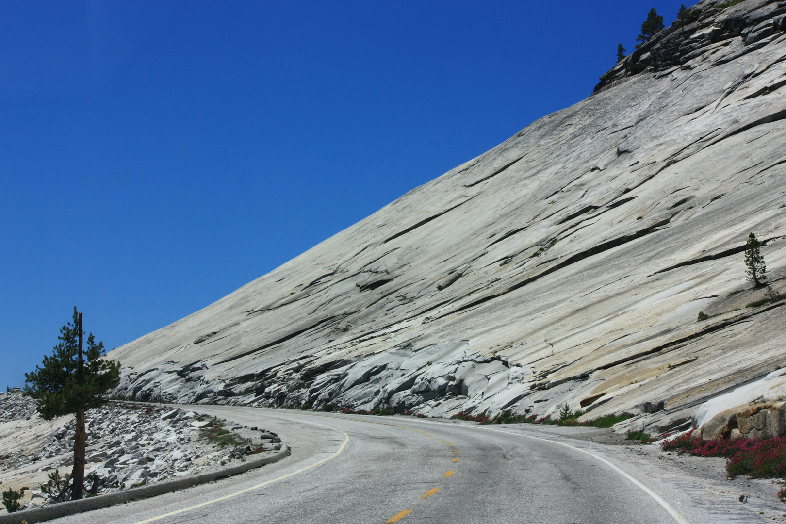 Yosemite National Park