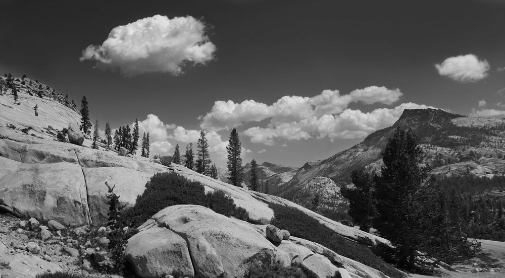 Yosemite National Park